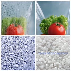 آنتي فوج - مضاد ضباب - شبورة